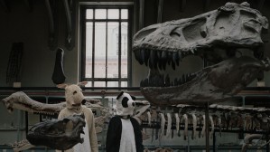 -- 3 types bizarres déguisés en animaux ont pour projet d'enterrer un enfant en forêt... --
Clip de Who Makes Anita Shake, réalisé par Raphaël Pfeiffer, sur lequel j'ai collaboré à l'image.